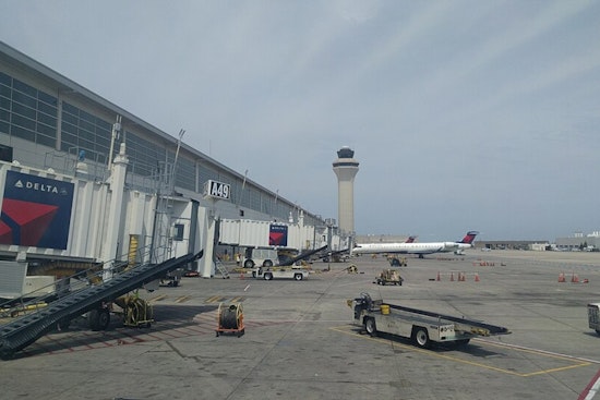 Detroit Airport Luggage Check Turns Up Fully Cooked Pig