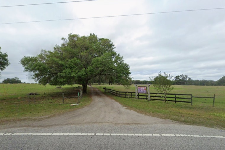 Developer Plots 1,500-Home Takeover Of Dade City Cattle Ranch