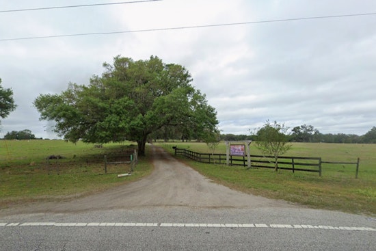 Developer Plots 1,500-Home Takeover Of Dade City Cattle Ranch