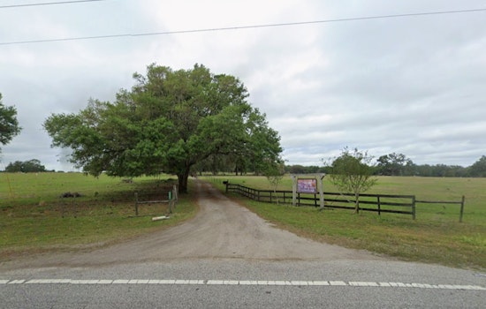 Developer Plots 1,500-Home Takeover Of Dade City Cattle Ranch