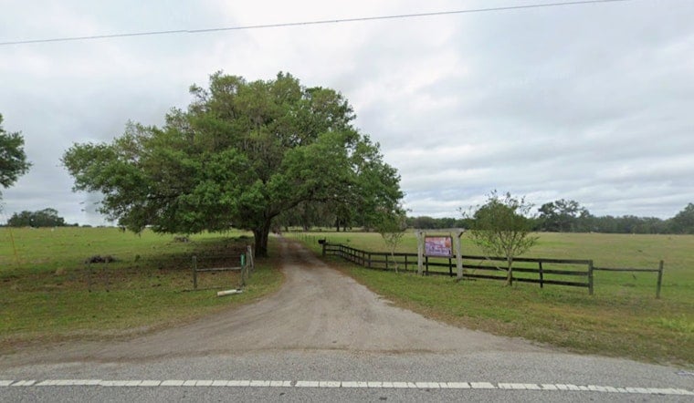 Developer Plots 1,500-Home Takeover Of Dade City Cattle Ranch