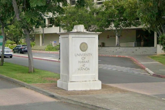 Diplomas, No Paychecks, UH Mānoa Grads Hit Honolulu Hiring Wall