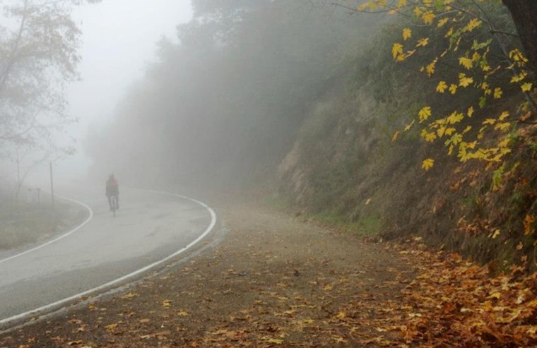 Downtown LA Weather: Foggy Morning, Sunny Afternoon