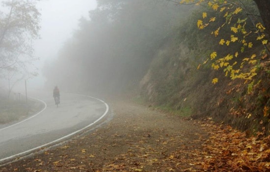 Downtown LA Weather: Foggy Morning, Sunny Afternoon