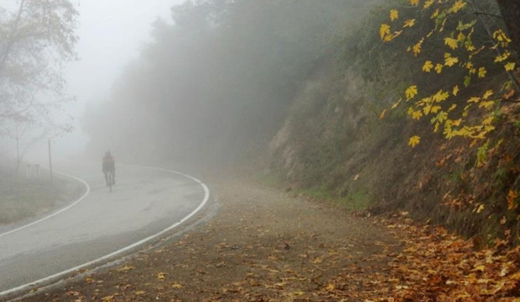 Downtown LA Weather: Foggy Morning, Sunny Afternoon