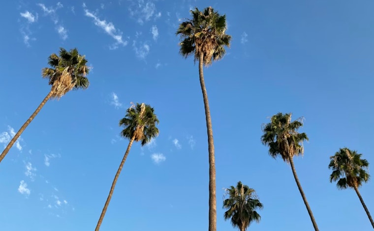Downtown Los Angeles Weather Today: Sunny, Warmer Weekend