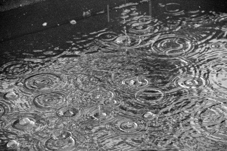 Drizzly Seattle Morning Snarls Commute Before Sunshine Takes Over Weekend