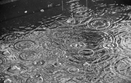 Drizzly Seattle Morning Snarls Commute Before Sunshine Takes Over Weekend