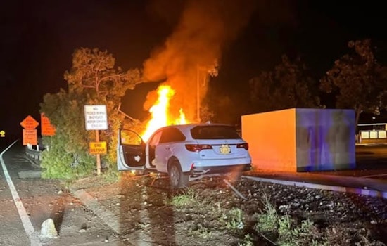 Dublin Stolen-Car Chase Ends In Fiery Crash, Driver Nabbed