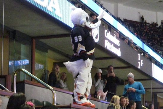 Ducks, Gulls Drop Mega Rink Plan on Escondido