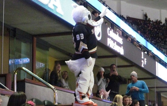 Ducks, Gulls Drop Mega Rink Plan on Escondido