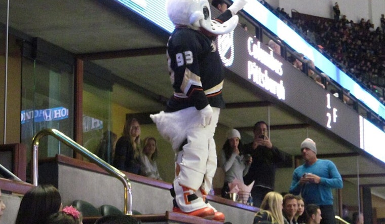 Ducks, Gulls Drop Mega Rink Plan on Escondido