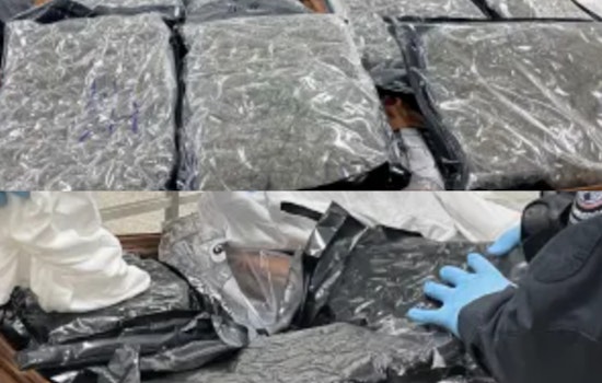 Dulles Pot Bust Nets 57 Pounds, Puts Two Baltimore Fliers In Cuffs