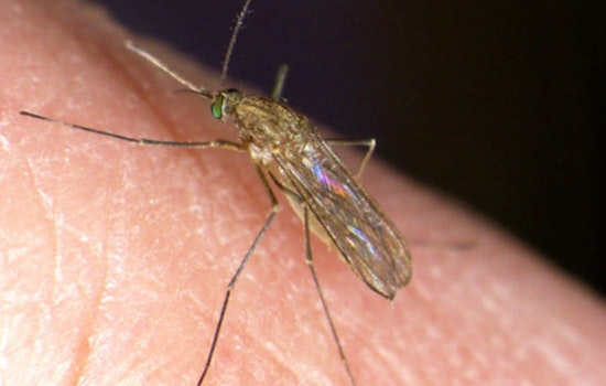 DuPage County Health Officials Warn After West Nile Mosquitoes Found