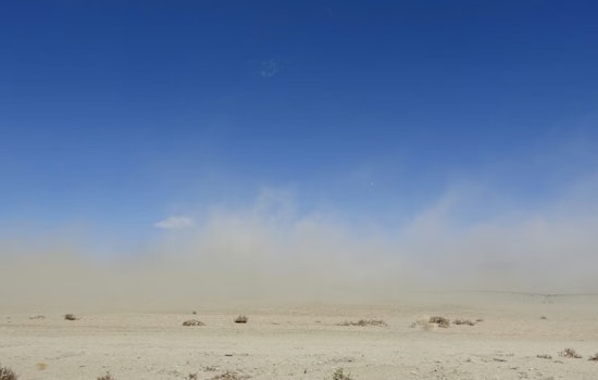 Dust, Heat and a Desert Fungus: Valley Fever Explodes in El Paso
