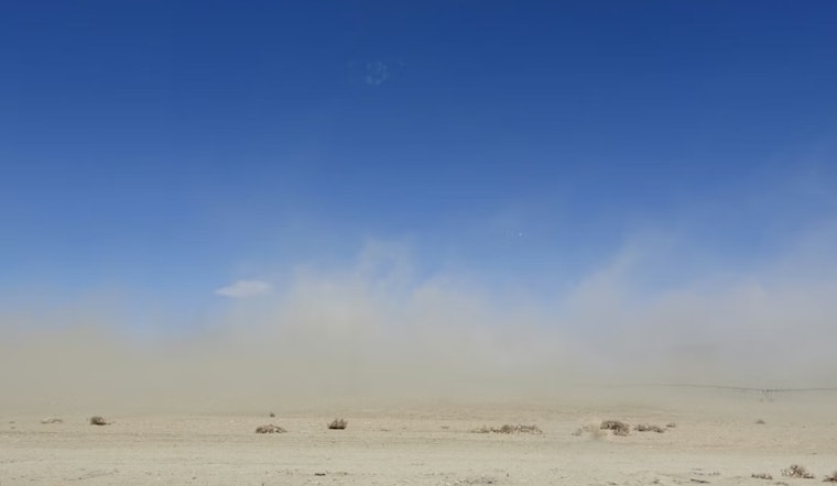Dust, Heat and a Desert Fungus: Valley Fever Explodes in El Paso