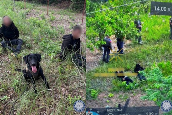East Texas K9 Roux Runs Armed Robbery Suspects Into DPS Trap After 5-Mile Chase