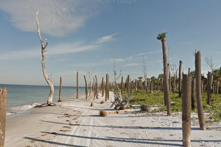 Egmont Key Restoration Grows After Hurricane Helene