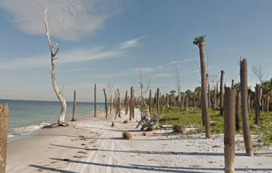 Egmont Key Restoration Grows After Hurricane Helene