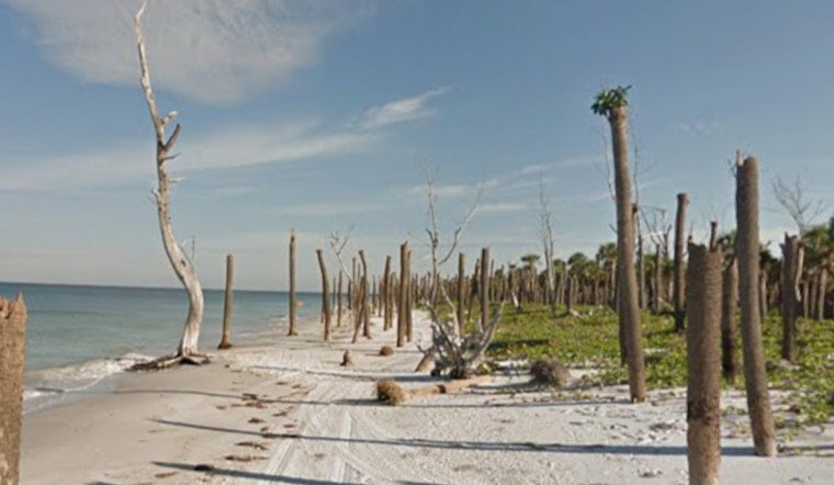 Egmont Key Restoration Grows After Hurricane Helene