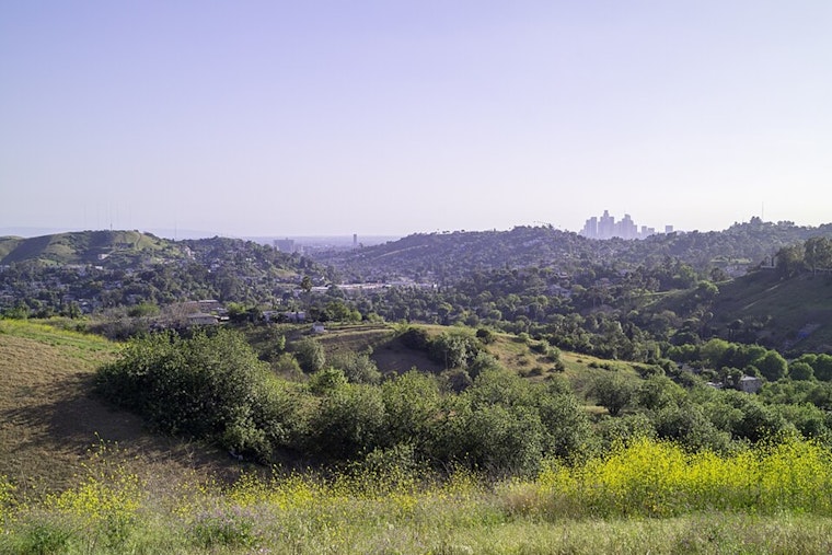 Elephant Hill Trail Opens in El Sereno