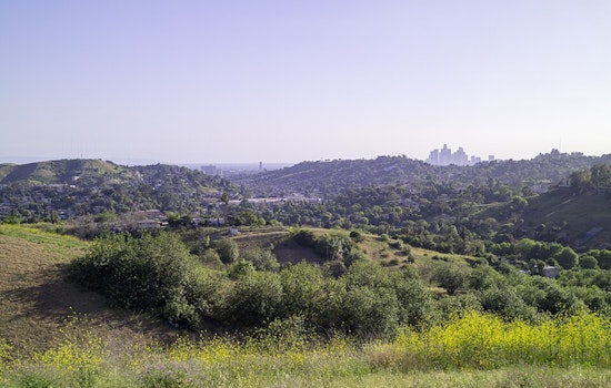 Elephant Hill Trail Opens in El Sereno
