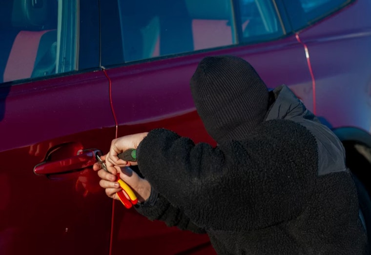 Elk Grove Homeowner Chases Off Would-Be Carjackers During Driveway Confrontation