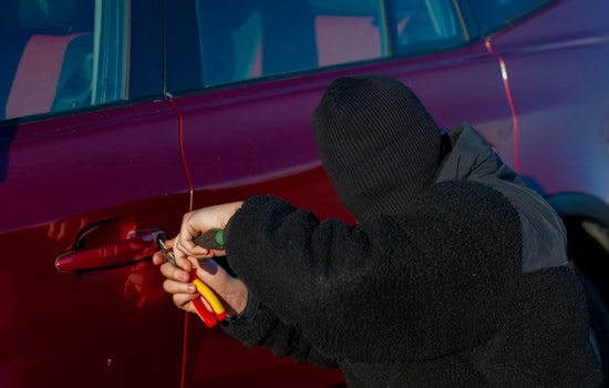 Elk Grove Homeowner Chases Off Would-Be Carjackers During Driveway Confrontation