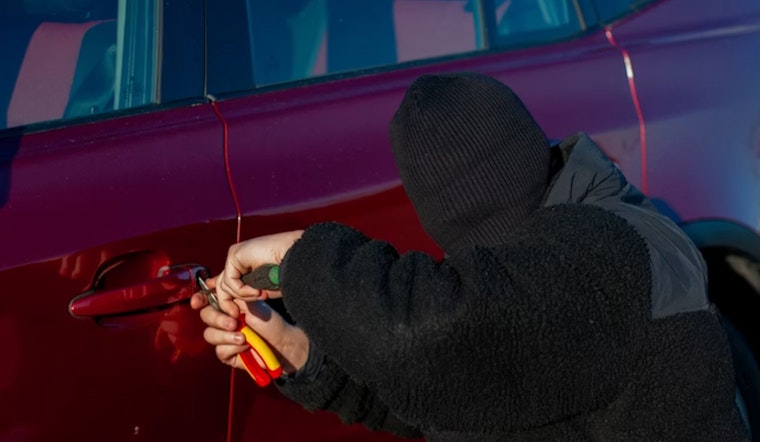 Elk Grove Homeowner Chases Off Would-Be Carjackers During Driveway Confrontation