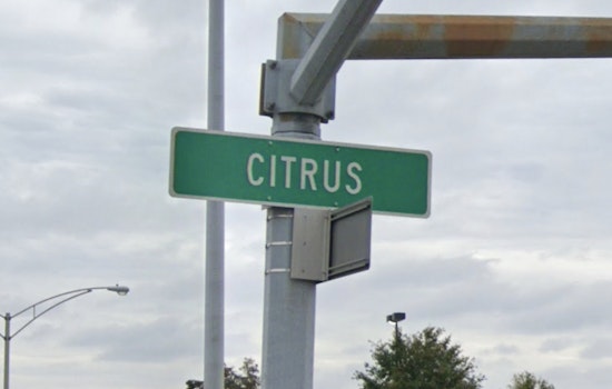 Elmwood Horror on Citrus Boulevard: Woman Killed, Man Critical in Apparent Murder-Attempted Suicide