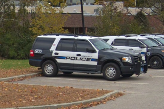 Emaciated Mama Dog Dumped At Wrentham Park, Cops Hunt Owner