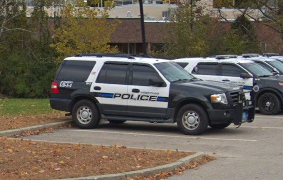 Emaciated Mama Dog Dumped At Wrentham Park, Cops Hunt Owner