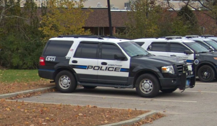 Emaciated Mama Dog Dumped At Wrentham Park, Cops Hunt Owner
