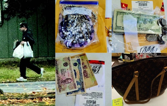 Eugene Burglary Boss Cops Plea In Asian Homeowner Heists