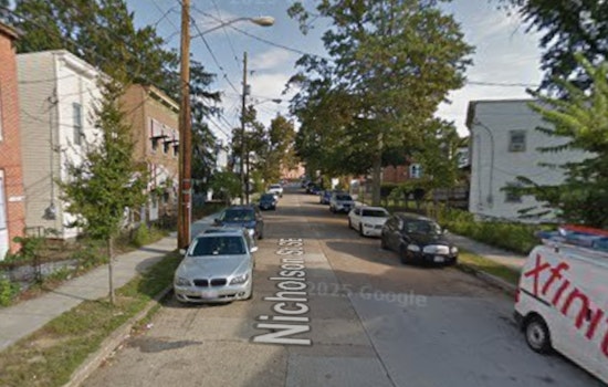 Fairlawn Dog Stabbing Has D.C. Cops Seeking Neighborhood Attacker