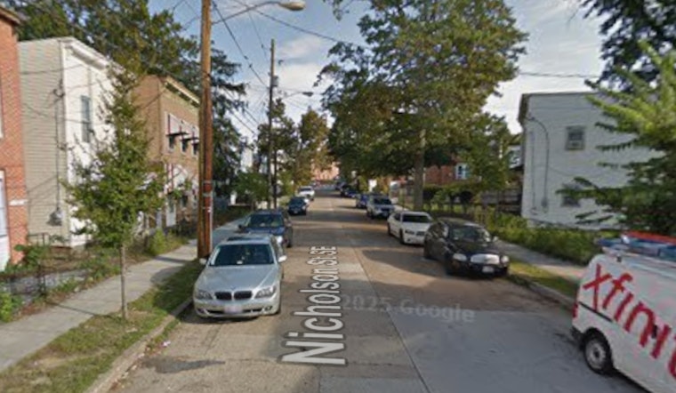 Fairlawn Dog Stabbing Has D.C. Cops Seeking Neighborhood Attacker