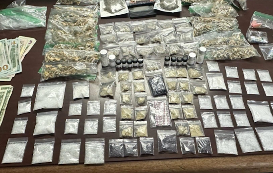 Fake Drugs, Real Felonies At Detroit’s Movement Festival
