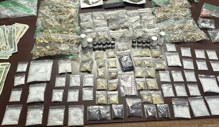 Fake Drugs, Real Felonies At Detroit’s Movement Festival