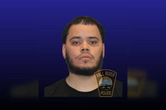 Fake K9 Call Stops South End Suspect In His Tracks
