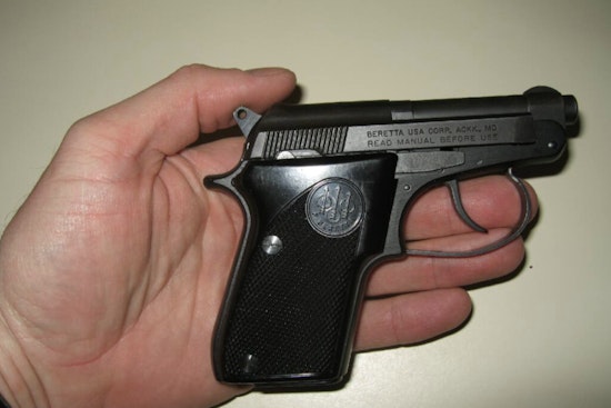 Federal Judges Stake New York's 'Vampire' Gun Rule, Keep Parks Off-Limits