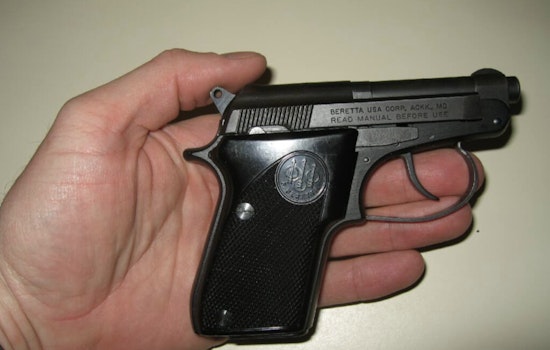 Federal Judges Stake New York's 'Vampire' Gun Rule, Keep Parks Off-Limits