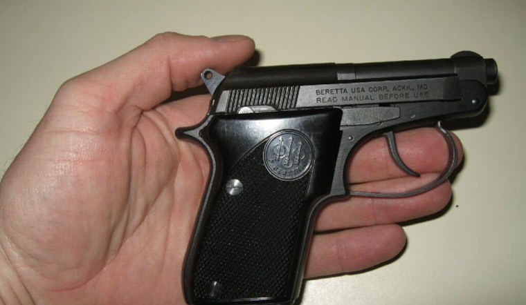 Federal Judges Stake New York's 'Vampire' Gun Rule, Keep Parks Off-Limits