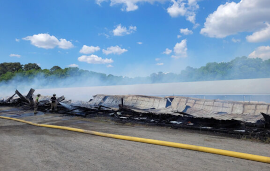 Federalsburg Farm Fire Kills 35,000 Chickens on Eastern Shore
