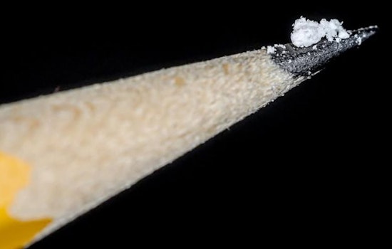 Fentanyl Fallout: Denver Cops Charge Two Dealers In Double Overdose Deaths
