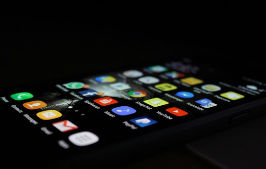 Fifth Circuit Lets Texas App Age Verification Law Move Forward