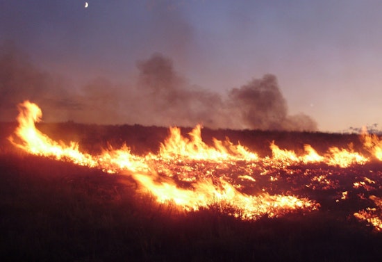 Finn Fire Reported Near Palos Verdes in Los Angeles County