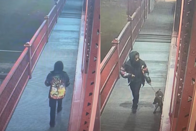 Flats Bridge Mystery As Man Walks Off And Leaves Dog Tied To Railing
