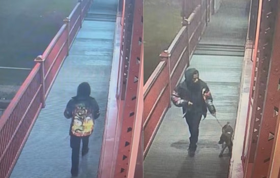 Flats Bridge Mystery As Man Walks Off And Leaves Dog Tied To Railing