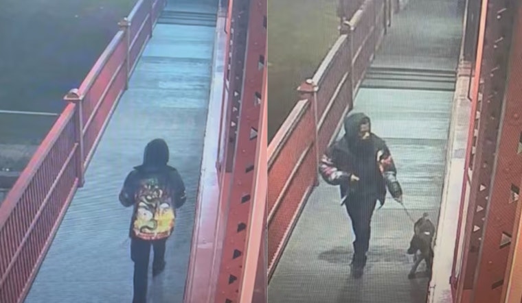 Flats Bridge Mystery As Man Walks Off And Leaves Dog Tied To Railing