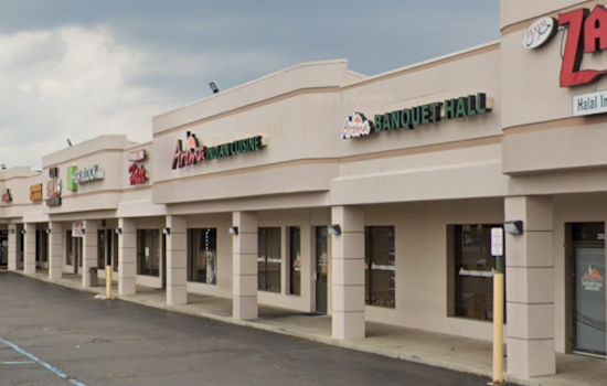 Flies In The Fryer: Farmington Hills Eateries Nailed In Health Check Blitz